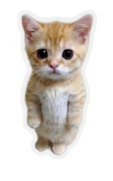 Кошка плащ Майнкрафт — скачать бесплатно