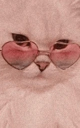 Кошка плащ Майнкрафт — скачать бесплатно