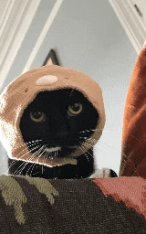 Кошка плащ Майнкрафт — скачать бесплатно