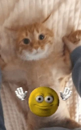 Кошка плащ Майнкрафт — скачать бесплатно