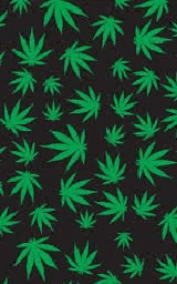 Зелёный плащ Майнкрафт — скачать бесплатно