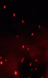 Тёмный плащ Майнкрафт — скачать бесплатно