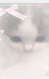 Кошка плащ Майнкрафт — скачать бесплатно