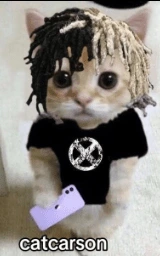 Кошка плащ Майнкрафт — скачать бесплатно