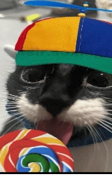 Кошка плащ Майнкрафт — скачать бесплатно
