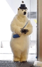Кошка плащ Майнкрафт — скачать бесплатно