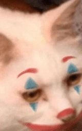 Кошка плащ Майнкрафт — скачать бесплатно