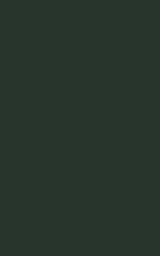 Зелёный плащ Майнкрафт — скачать бесплатно