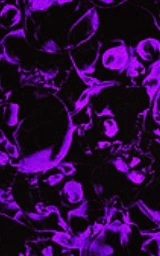 Фиолетовый плащ Майнкрафт — скачать бесплатно