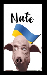 Свинья плащ Майнкрафт — скачать бесплатно