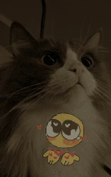 Кошка плащ Майнкрафт — скачать бесплатно