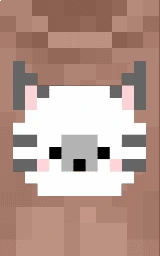 Коричневый плащ Майнкрафт — скачать бесплатно