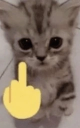 Животное плащ Майнкрафт — скачать бесплатно