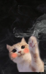 Кошка плащ Майнкрафт — скачать бесплатно