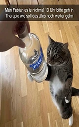 Кошка плащ Майнкрафт — скачать бесплатно