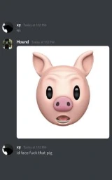 Свинья плащ Майнкрафт — скачать бесплатно