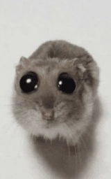 Животное плащ Майнкрафт — скачать бесплатно
