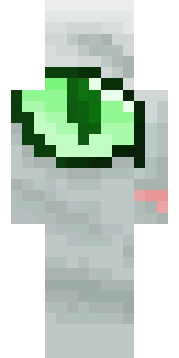 Кошка скин Майнкрафт — скачать PNG бесплатно