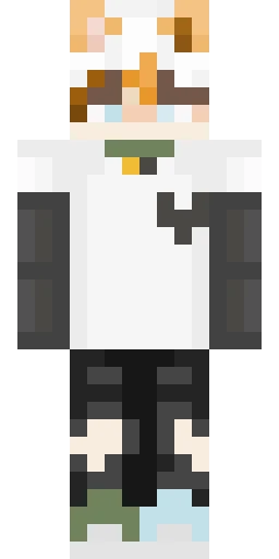 Кошка скин Майнкрафт — скачать PNG бесплатно