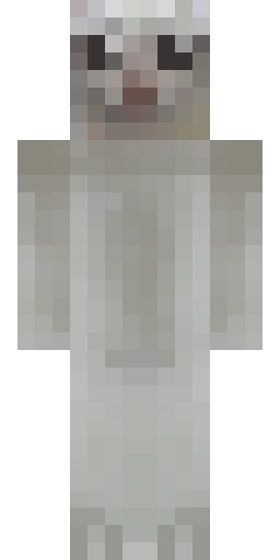 Кошка скин Майнкрафт — скачать PNG бесплатно