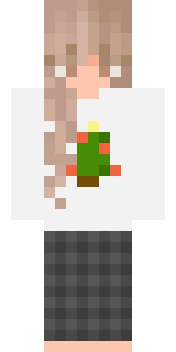 Парный скин Майнкрафт — скачать PNG бесплатно