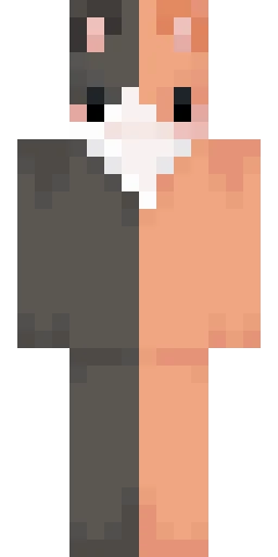Кошка скин Майнкрафт — скачать PNG бесплатно