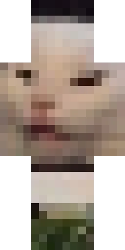 Кошка скин Майнкрафт — скачать PNG бесплатно