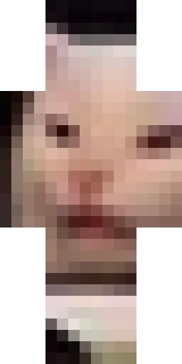 Кошка скин Майнкрафт — скачать PNG бесплатно