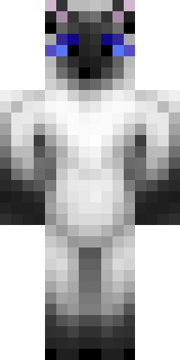 Кошка скин Майнкрафт — скачать PNG бесплатно