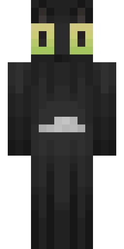 Кошка скин Майнкрафт — скачать PNG бесплатно