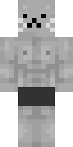 Кошка скин Майнкрафт — скачать PNG бесплатно
