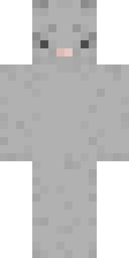 Кошка скин Майнкрафт — скачать PNG бесплатно