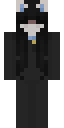 Кошка скин Майнкрафт — скачать PNG бесплатно