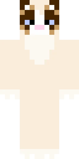 Кошка скин Майнкрафт — скачать PNG бесплатно