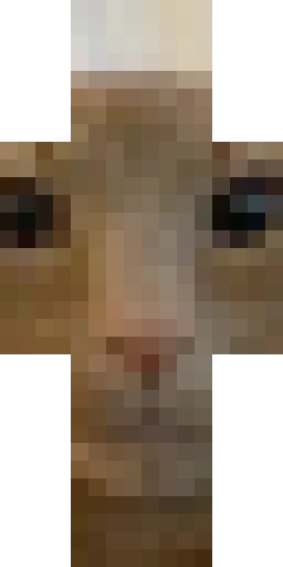 Кошка скин Майнкрафт — скачать PNG бесплатно