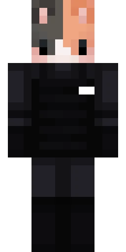 Кошка скин Майнкрафт — скачать PNG бесплатно