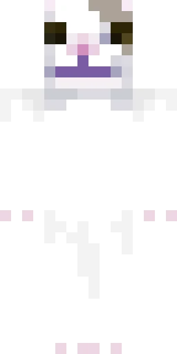 Мем скин Майнкрафт — скачать PNG бесплатно