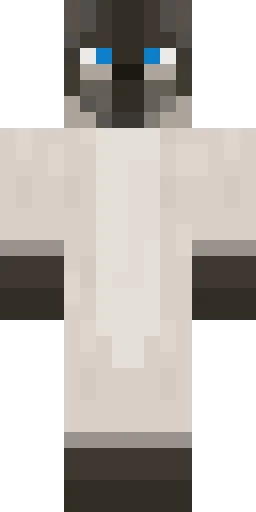 Кошка скин Майнкрафт — скачать PNG бесплатно