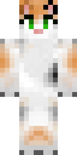 Кошка скин Майнкрафт — скачать PNG бесплатно