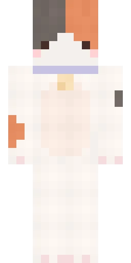Кошка скин Майнкрафт — скачать PNG бесплатно