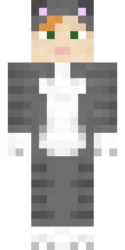 Кошка скин Майнкрафт — скачать PNG бесплатно