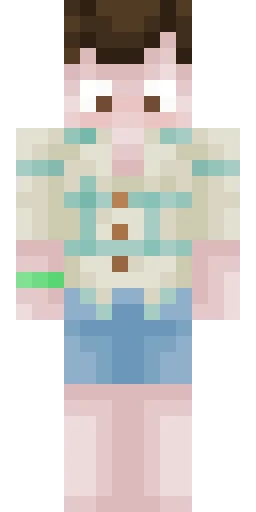 Из фильма скин Майнкрафт — скачать PNG бесплатно