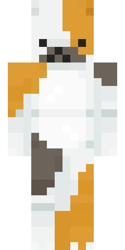 Кошка скин Майнкрафт — скачать PNG бесплатно