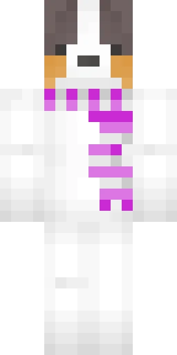 Парный скин Майнкрафт — скачать PNG бесплатно
