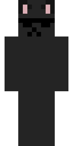 Кошка скин Майнкрафт — скачать PNG бесплатно