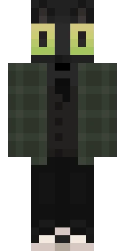 Кошка скин Майнкрафт — скачать PNG бесплатно