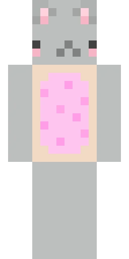 Кошка скин Майнкрафт — скачать PNG бесплатно