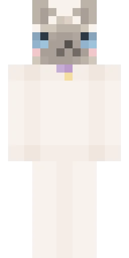 Кошка скин Майнкрафт — скачать PNG бесплатно