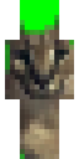 Мем скин Майнкрафт — скачать PNG бесплатно