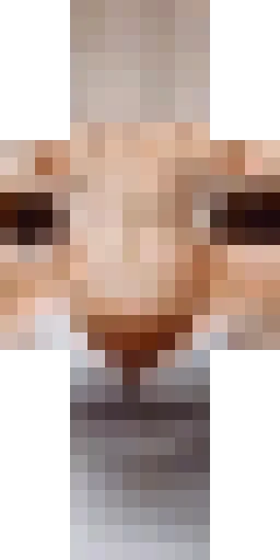 Кошка скин Майнкрафт — скачать PNG бесплатно